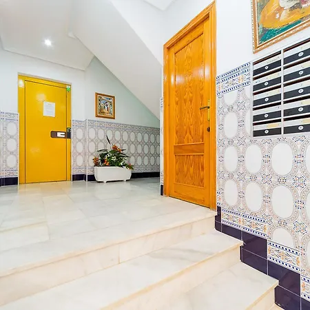 Apartman Alegria Id65 Torrevieja